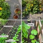 korean vegetable garden guide pin
